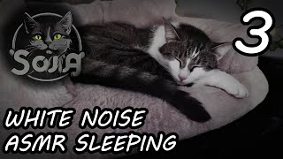 White Noise  ASMR Sleeping  Sleep amp Relax  8 hours  3 [upl. by Nelle991]