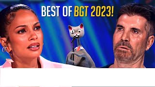 🎤 Noodle the Cat Superstar That Left Simon Cowell Speechless on Britains Got Talent 🐱🌟😱🎉 2023 [upl. by Missy397]