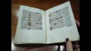 Visita al Museo Correr ed alla sua meravigliosa biblioteca  Venezia [upl. by Orgell175]