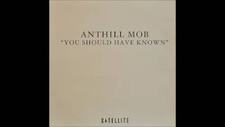 Anthill Mob ‎– You Should Have Known Todd Edwards You Should Have Vocalised Dub [upl. by Corney]