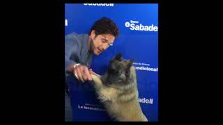 Diego Boneta y su PERRITA AKILA inseparables 😍 [upl. by Cyler]