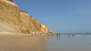 PLAYA FUENTE DEL GALLO  Conil de la Frontera HD [upl. by Cate]