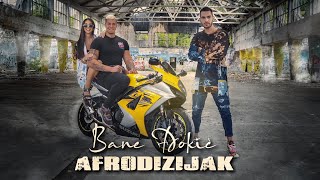 BANE ĐOKIĆ  AFRODIZIJAK OFFICIAL VIDEO [upl. by Blane]