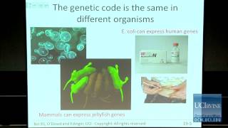 Bio Sci 93 DNA to Organisms Lec19 Gene Expression Translation [upl. by Nibram300]