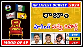 2024 Rajam Election Survey YSRCP TDP Janasena  Who Leads Mee Prabhu Analysis [upl. by Lyn]