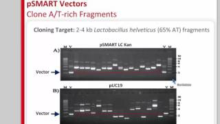 Webinar Clone the Unclonable  Vectors and Cells to Capture amp Express Problematic DNAs [upl. by Philipp614]