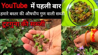 You Tube में पहली बार बस्तरिया टूटगुना की सब्जी  Solanum Trilobatum  Junglee Baigan  brinjal [upl. by Lucrece291]