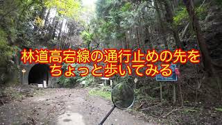 SEROW touring 歩いて林道高宕線 2023年10月21日 千葉県君津市 [upl. by Bilski]