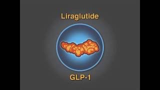 Liraglutide and Cardiovascular Outcomes [upl. by Florencia]