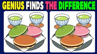 Find the Difference Only Genius Can Find 3 Differences In 90 Seconds 【Spot the Difference】 [upl. by Infield]