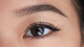 Natural Eyebrow Tutorial  ShifraSays [upl. by Neladgam469]