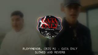 FLOYYMENOR x CRIS MJ  GATA ONLY SLOWED AND REVERB VERSION OFICIAL  YouTube Music [upl. by Savart]