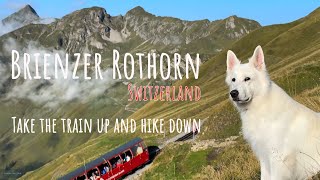 Worlds most beautiful train ride in Switzerland  Brienz Rothorn Bahn [upl. by Refinaj]