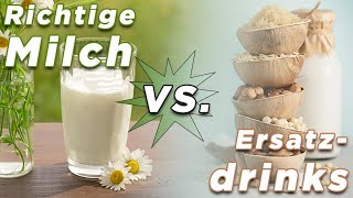 Richtige Milch vs Ersatzdrinks  My KuhTube Film 813 [upl. by Esertap422]