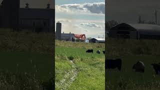 Barn Fire Platteville Wisconsin [upl. by Forbes523]