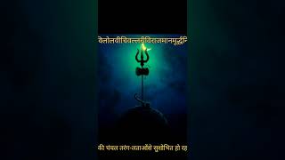 Tandav 12 facts divine mahadev mahakal  song shivay shivstrotram tandav omnamahshivaya [upl. by Ahsienar]