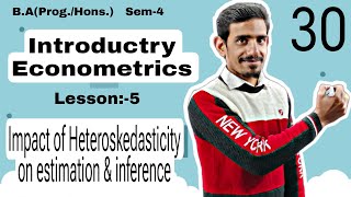 30 Impact of Heteroskedasticity on estimation amp Inference  Introductory or Basic Econometrics  Du [upl. by Eibur391]