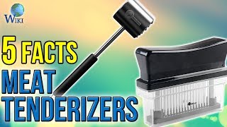 Meat Tenderizers 5 Fast Facts [upl. by Duaner]