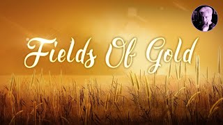 Fields Of Gold  Eva Cassidy Karaoke [upl. by Nolyk]