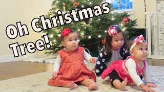 Oh Christmas Tree  December 07 2014  itsJudysLife Daily Vlogs [upl. by Arabelle]