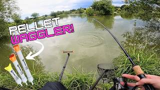 Catch more Carp on the Pellet Waggler [upl. by Semajwerdna]