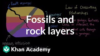 Fossils and rock layers  The geosphere  Middle school Earth and space science  Khan Academy [upl. by Retluoc81]