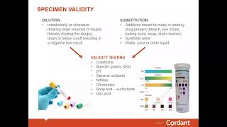 Detecting Urine Drug Test Tampering – Cordant Health Solutions Answers Top Drug Testing Questions [upl. by Cherrita]