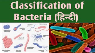 Classification of bacteriaHindiBPharm 3 sem classification bacteria classificationofbacteria [upl. by Babby]