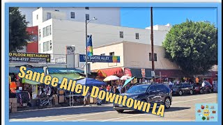 SANTEE ALLEY DOWNTOWN LOS ANGELES Fashion District International Food Court Francois Bakery [upl. by Willet544]