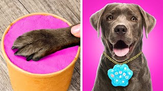 Popular and Unique DIYs for Pets 😮✨ Smart Hacks and Gadgets for Pet Owners 😉 [upl. by Zsuedat]