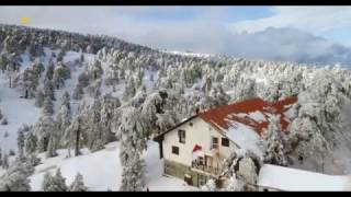 Troodos Mount from the Sky 2017  Cyprus 4K [upl. by Malissa470]