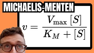 Michaelis Menten Equation Explained For Beginners [upl. by Volotta]