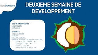 Deuxième semaine de développement embryonnaire  Embryologie générale [upl. by Federica783]