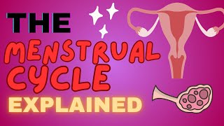 The Menstrual Cycle Explained  4 PHASES OF MENSTRUAL CYCLE MADE EASY [upl. by Raknahs]