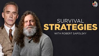 Of Baboons and Men  Robert Sapolsky  EP 390 [upl. by Lucian]