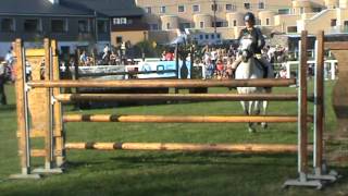 148 connemara pony jumps 155 in cliften pussiance [upl. by Durno]