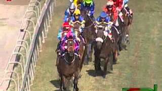 Polar Bound ridden by Fausto Durso wins the 2014 Barbe Cup [upl. by Maria7]