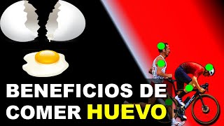 LO QUE PASA A TU CUERPO CUANDO COMES HUEVOS│Salud Ciclista [upl. by Edholm]