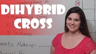 Punnett Squares  Dihybrid Cross [upl. by Okoy]