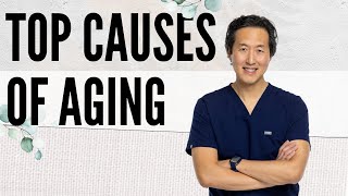 The Top Causes of Accelerated Aging w Dr Tony Youn  The Art Of Being Well  Dr Will Cole [upl. by Wrand]