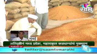 Know why Commodity market expert Shrikant Kuvalekar advises farmers not to sell harbara chickpea [upl. by My897]