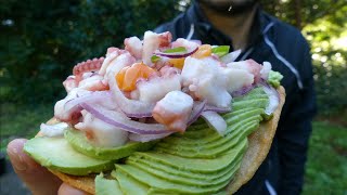 Coastal Foraging Rare Find In Northern California Coast Making Ceviche [upl. by Gnauq]