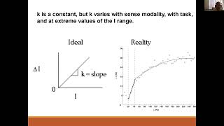 EXP3204 Psychophysics Part 3 [upl. by Nossaj595]