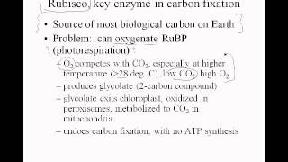 3 10 carbonfixation rubisco [upl. by Achorn]