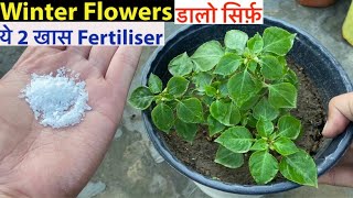 November में जान डाल देंगे ये Top 2 Fertiliser  खिल उठेंगे सभी पोधे Winter Plants Care Tips Hindi [upl. by Donatelli]