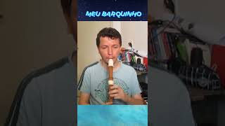 Meu barquinho ciframelodica flauta cover musica [upl. by Neeliak]