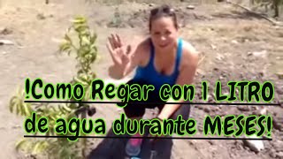 Cómo regar tus plantas con un litro de agua durante meses FACIL RAPIDO ECONOMICO RIEGO SOLAR [upl. by Ralyks167]