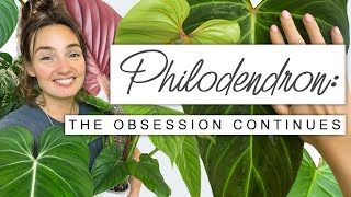 Sorry If You Buy More Plants After This 😬 PHILODENDRON Collection Tour Growth Updates  FUN FACTS 🌱 [upl. by Manno878]