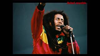 BOB MARLEYBABYLON SYSTEM LYRICS BREAKDOWN EPISODE 1 bobmarley bobmarleyandthewailers reggae [upl. by Burny213]