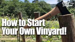 How To Start Your Own Vineyard  Season 1 Episode 1  How You Can Start a Vineyard [upl. by Yrreg]